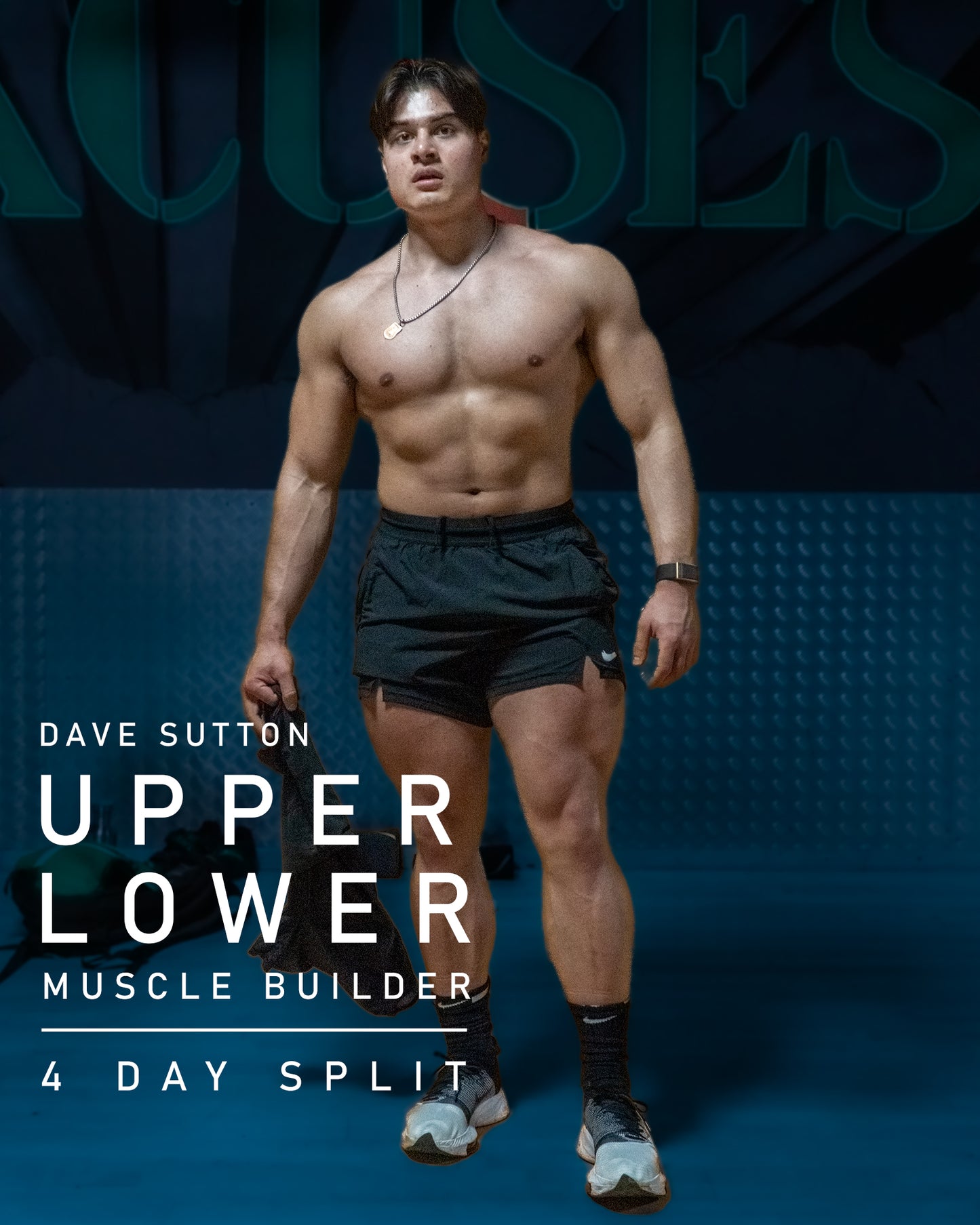 4 DAY UPPER LOWER MUSCLE BUILDER