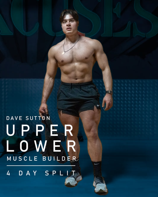 4 DAY UPPER LOWER MUSCLE BUILDER